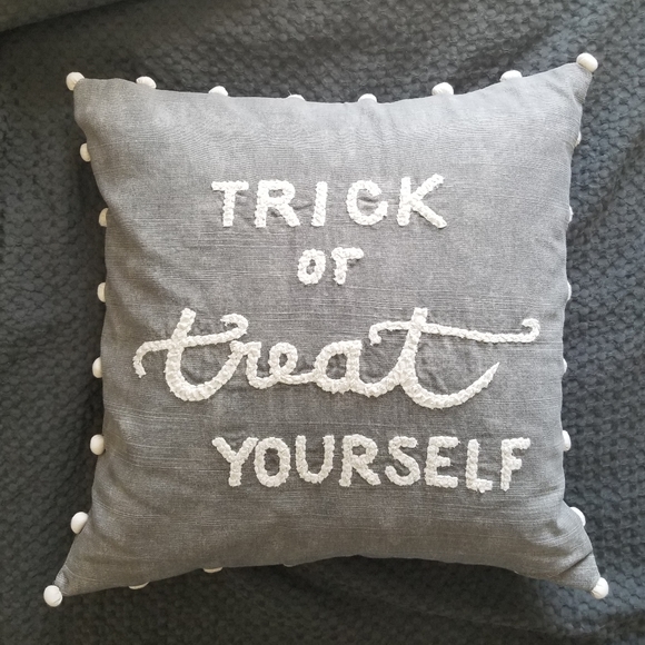 NWOT! Pottery Barn Throw Pillow - Picture 1 of 2